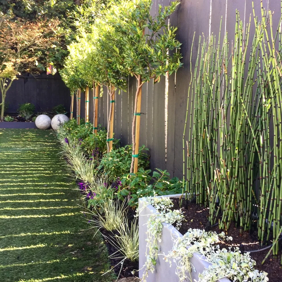 Outdoor Recreation by Haven Home And Garden Design - Photo 6