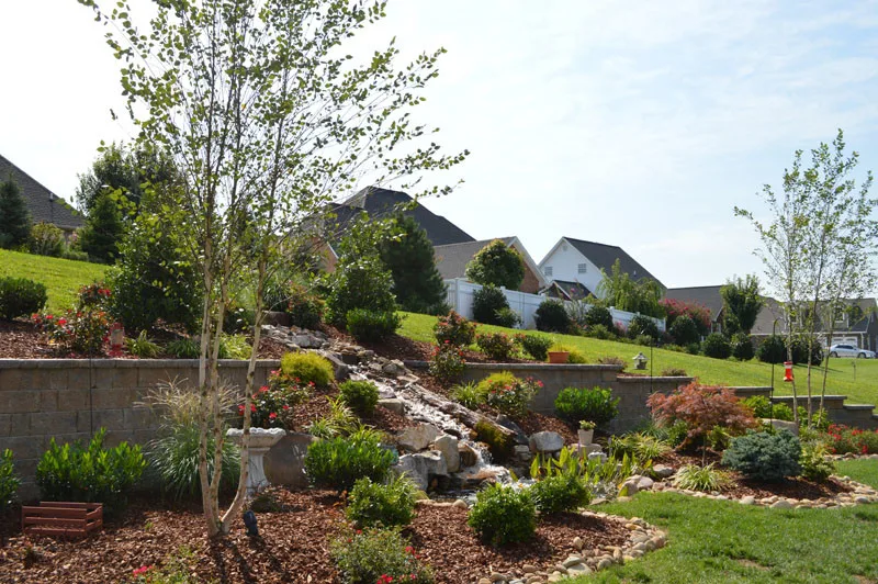 Garden Cascade by Promier Landscapes - Photo 8