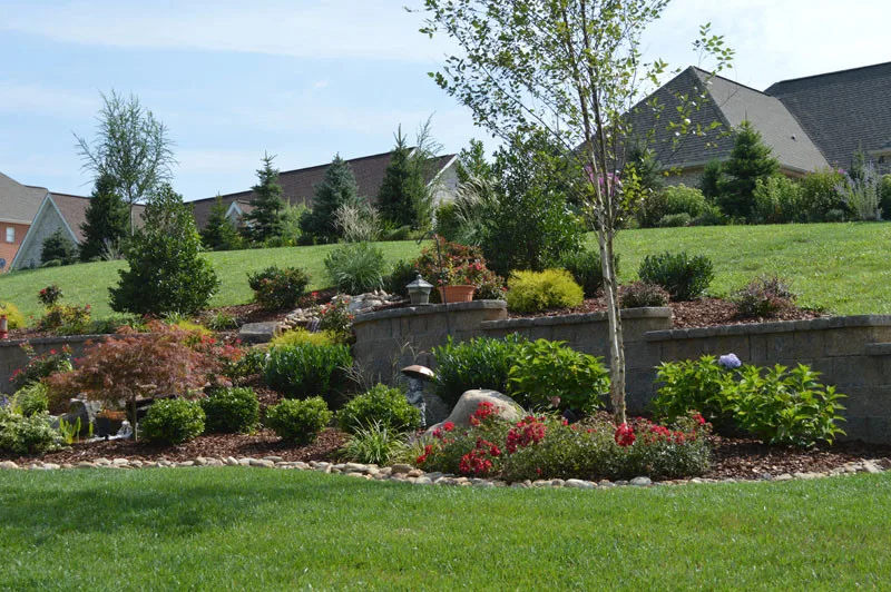 Garden Cascade by Promier Landscapes - Photo 12