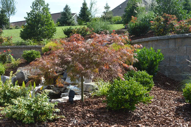Garden Cascade by Promier Landscapes - Photo 6