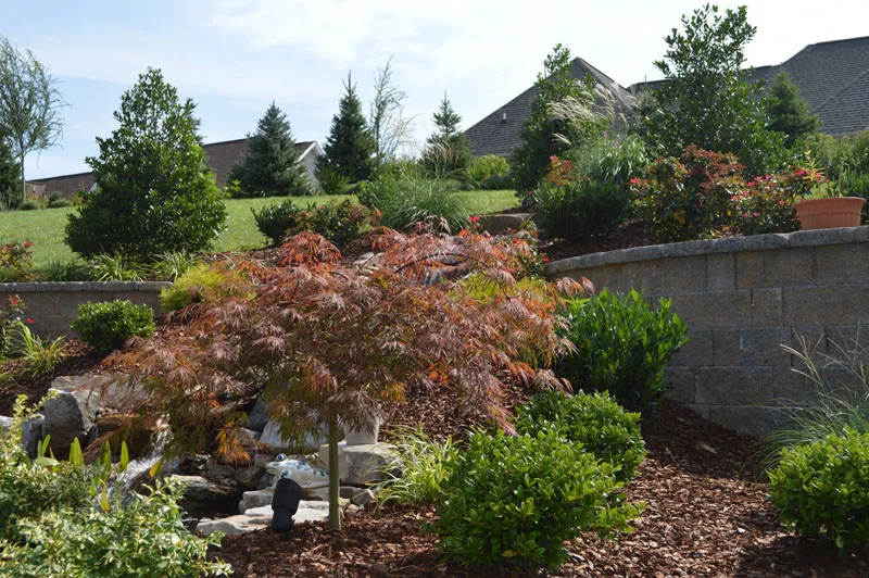 Garden Cascade by Promier Landscapes - Photo 2