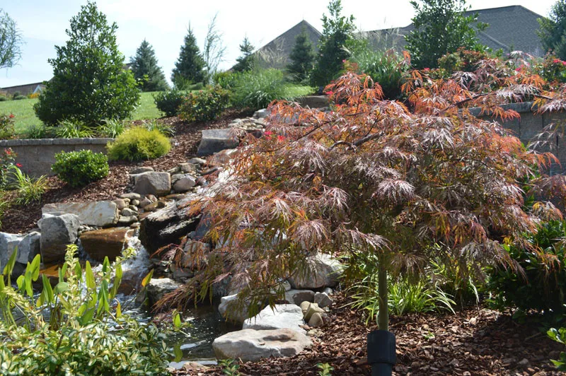 Garden Cascade by Promier Landscapes - Photo 7