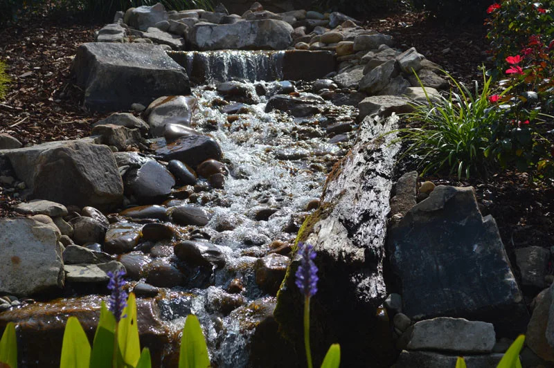 Garden Cascade by Promier Landscapes - Photo 3