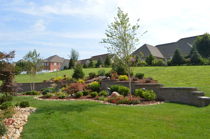 Promier Landscapes - Photo 13
