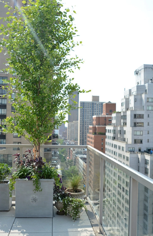 Penthouse Container Garden by Christian Duvernois Landscape/Studio - Photo 2