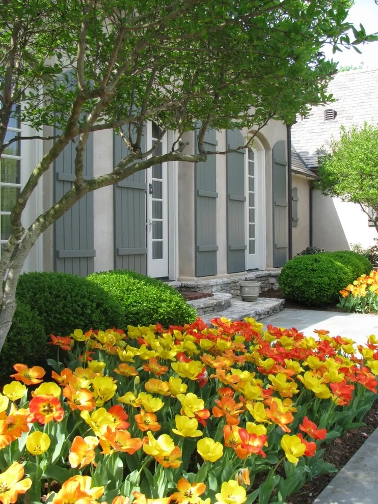 Colonial Hills - Photo 13