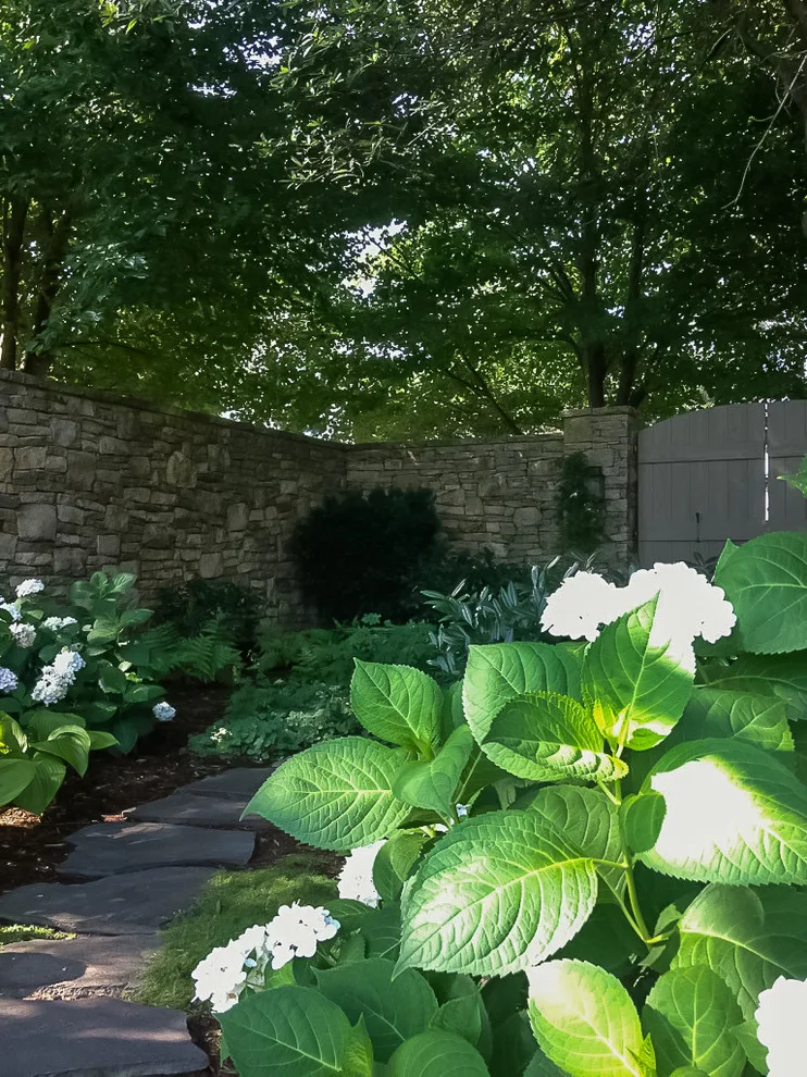Beautiful Oak by Colonial Hills - Photo 5