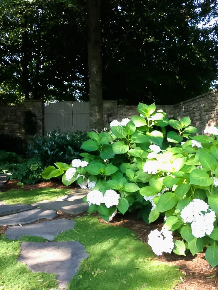 Beautiful Oak by Colonial Hills - Photo 4