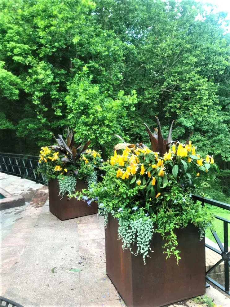 Vibrant Spring and Summer Container Gardens by Colonial Hills - Photo 3