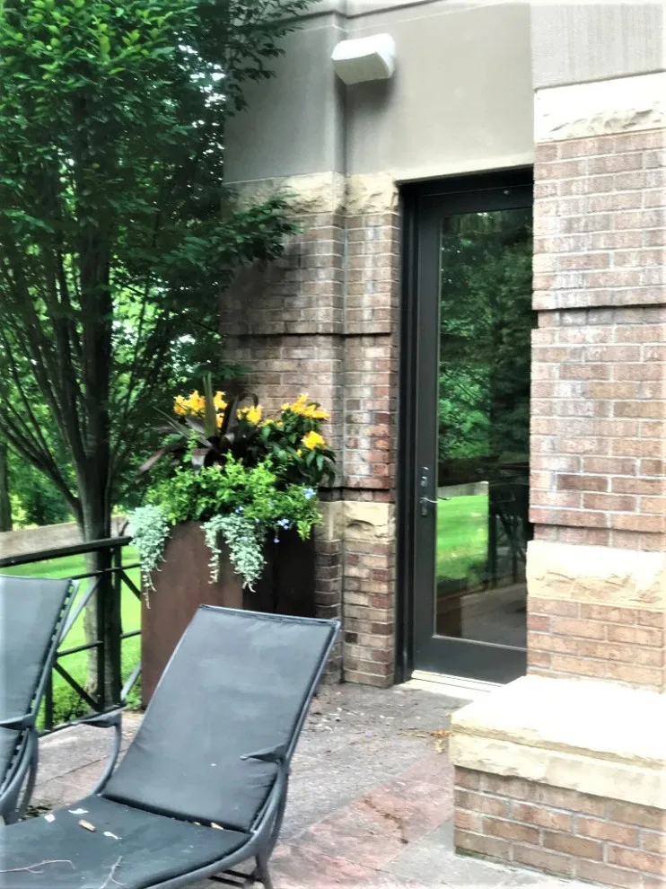 Vibrant Spring and Summer Container Gardens by Colonial Hills - Photo 15