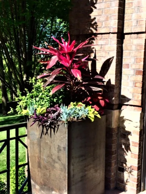 Vibrant Spring and Summer Container Gardens by Colonial Hills - Photo 6
