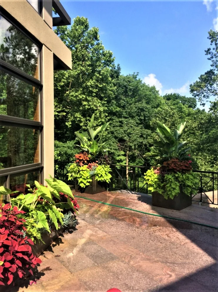 Vibrant Spring and Summer Container Gardens by Colonial Hills - Photo 20