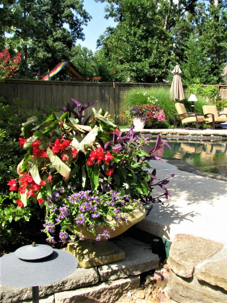 Colonial Hills - Photo 14