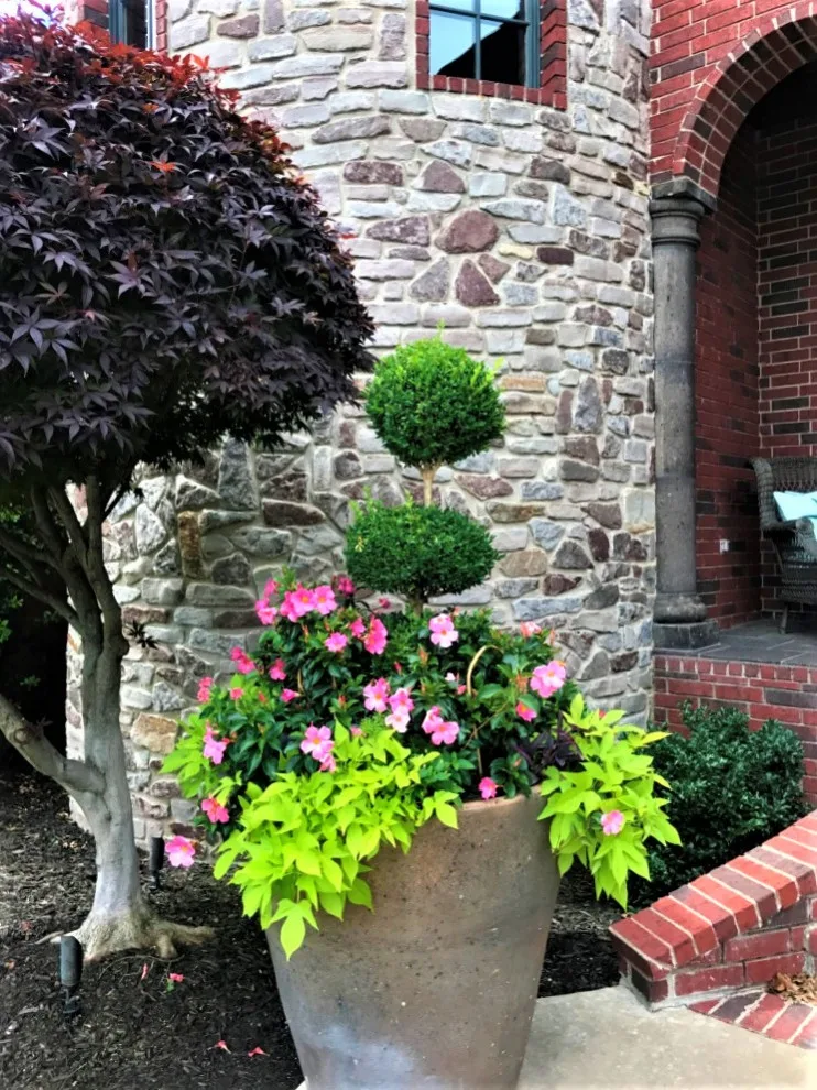 Vibrant Spring and Summer Container Gardens by Colonial Hills - Photo 16