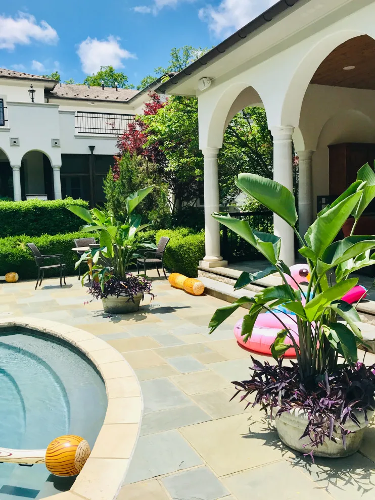 Vibrant Spring and Summer Container Gardens by Colonial Hills - Photo 2
