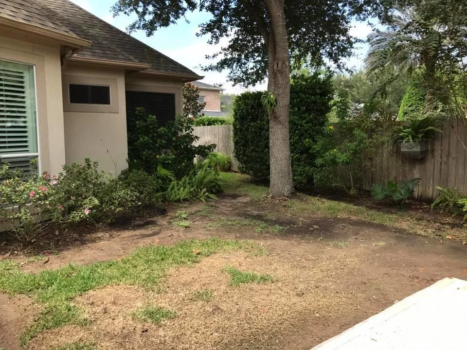 Before vs After by Wildflower Landscape Design-texas - Photo 3