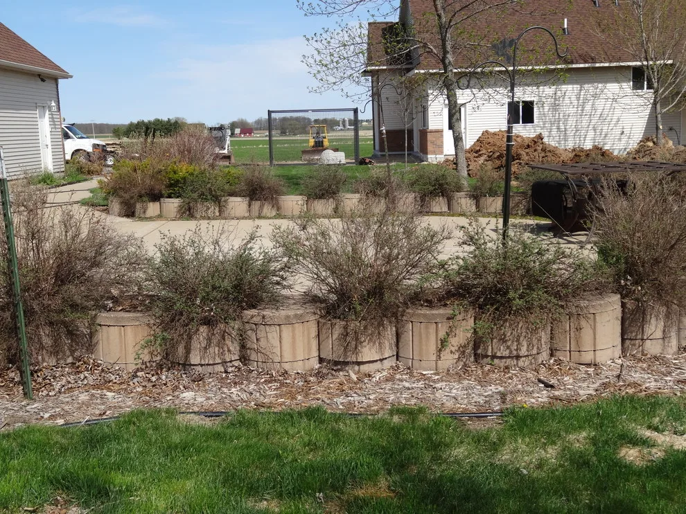 Skilled Artistry by Landscape Solutions By Susan Murphy, LLC - Photo 2