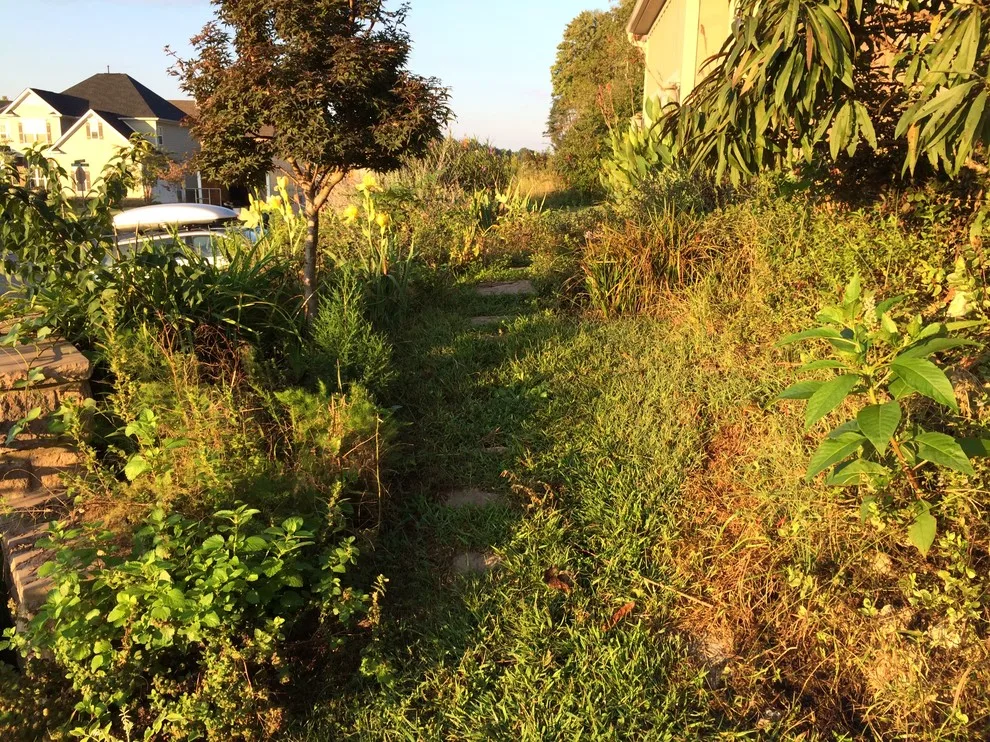 Overall Landscape by Ryan Hanks - Photo 11