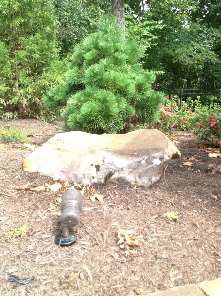 Overall Landscape by Ryan Hanks - Photo 7