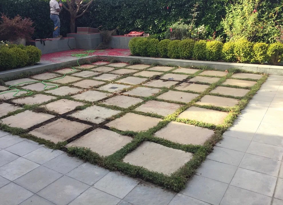 Belvedere Lagoon Garden Revitalization by Gardens & Gables - Photo 6