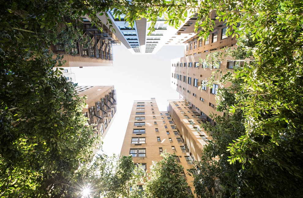 Scholar's Garden by Christian Duvernois Landscape/Studio - Photo 11