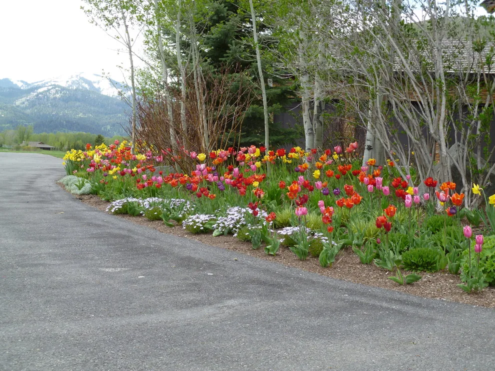 Teton Gardens - Photo 14
