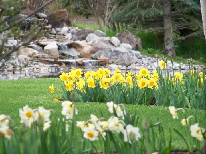 Teton Gardens - Photo 4