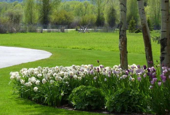 Teton Gardens - Photo 5