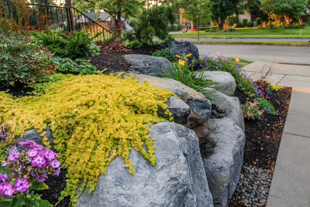Canon Hill Entranceway by Pacific Garden Design - Photo 4