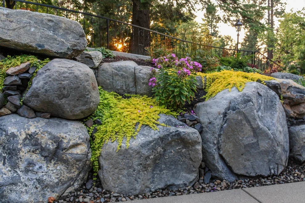 Canon Hill Entranceway by Pacific Garden Design - Photo 12