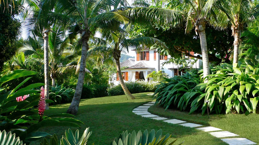 Tropical Garden by Craig Reynolds Landscape Architecture - Photo 17