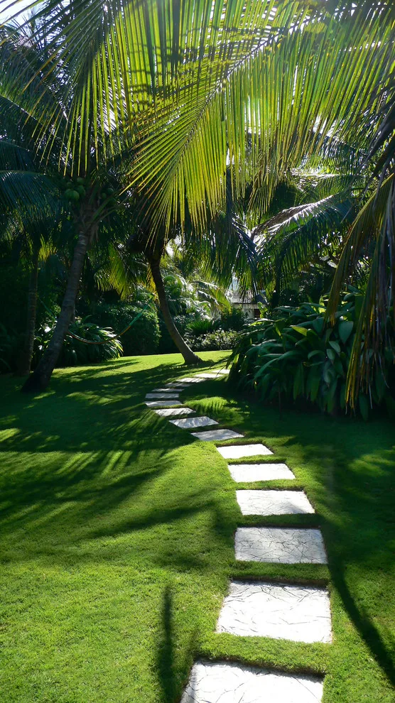 Tropical Garden by Craig Reynolds Landscape Architecture - Photo 5