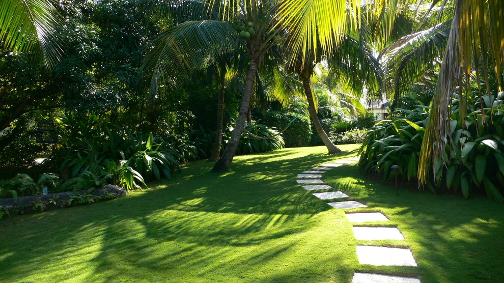 Tropical Garden by Craig Reynolds Landscape Architecture - Photo 9