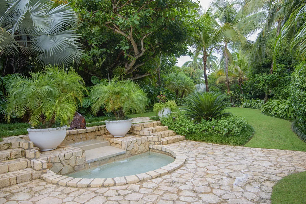 Tropical Garden by Craig Reynolds Landscape Architecture - Photo 3