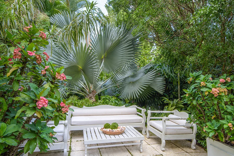 Tropical Garden by Craig Reynolds Landscape Architecture - Photo 13