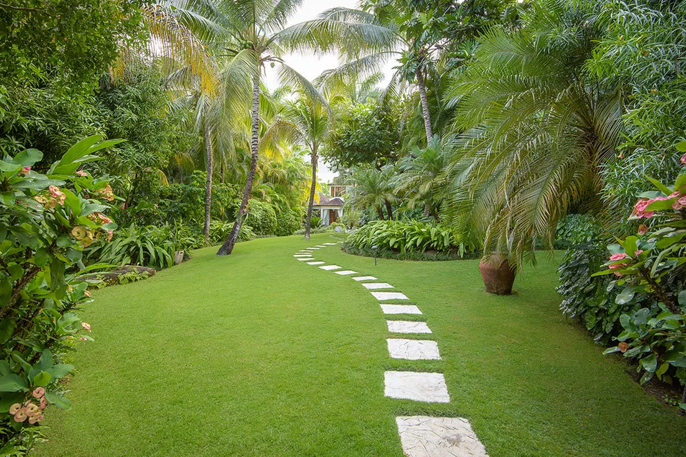 Tropical Garden by Craig Reynolds Landscape Architecture - Photo 18