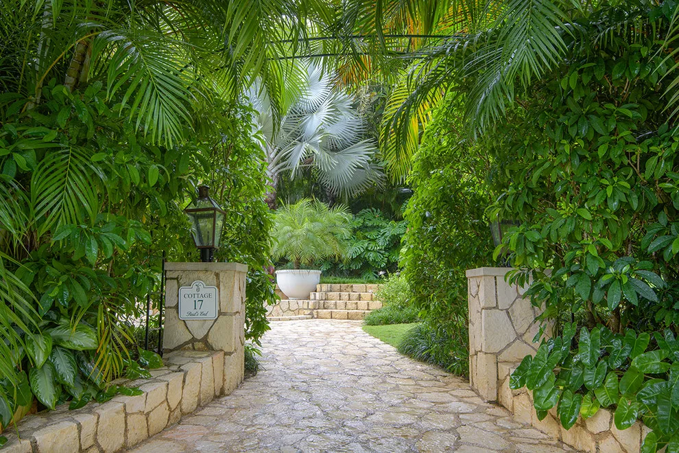 Tropical Garden by Craig Reynolds Landscape Architecture - Photo 19