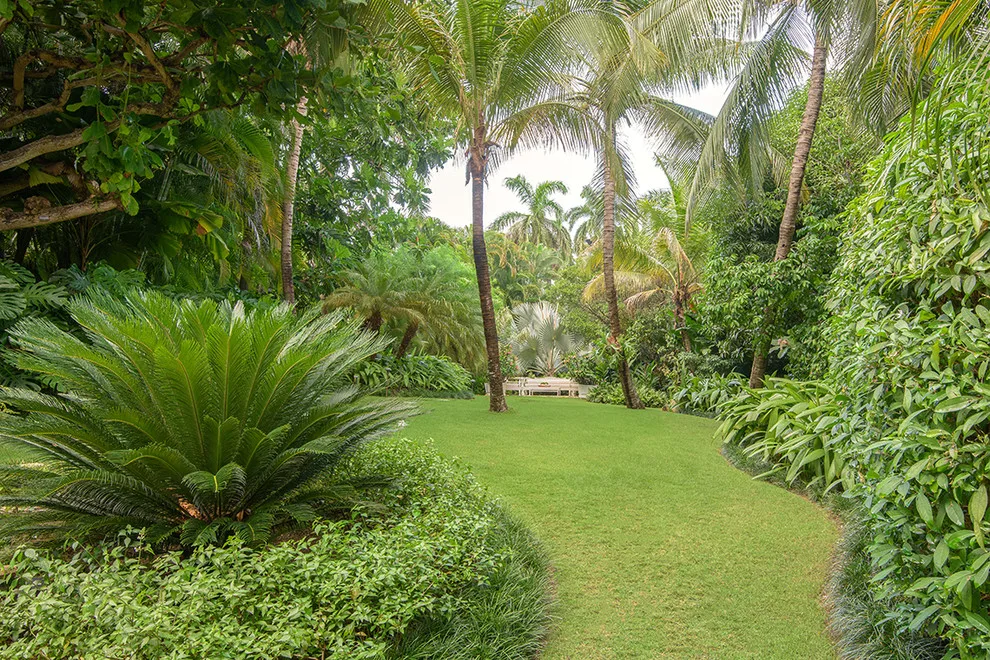 Tropical Garden by Craig Reynolds Landscape Architecture - Photo 16