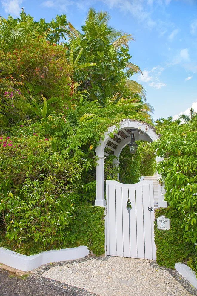Tropical Garden by Craig Reynolds Landscape Architecture - Photo 14