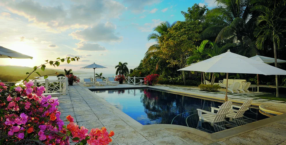 Tropical Garden by Craig Reynolds Landscape Architecture - Photo 15