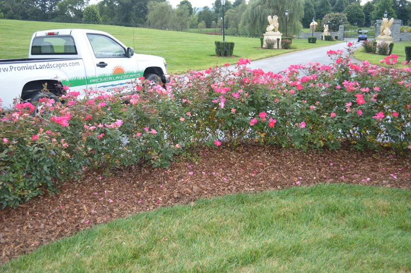 Fortress Task by Promier Landscapes - Photo 4
