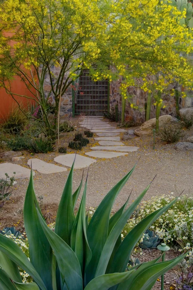 Catalina Hills by Design Workshop, INC. - Photo 5