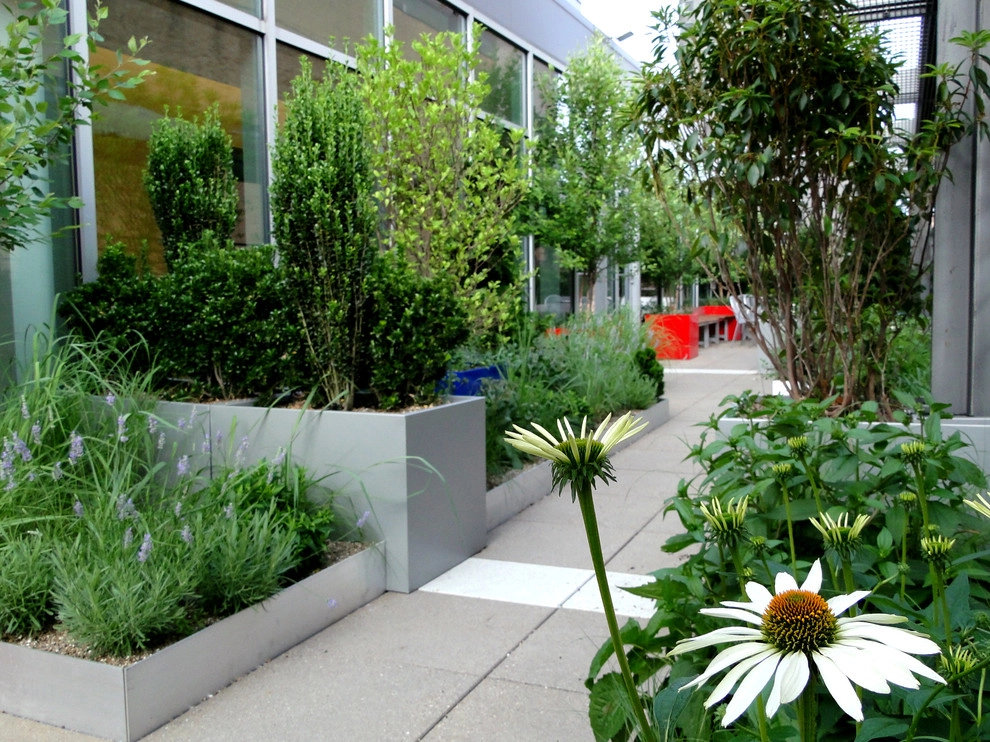 Lycee Francais by Christian Duvernois Landscape/Studio - Photo 6
