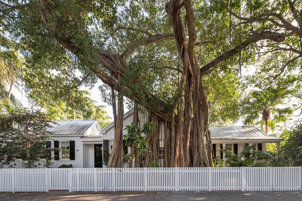 Traditional Key West by Craig Reynolds Landscape Architecture - Photo 14
