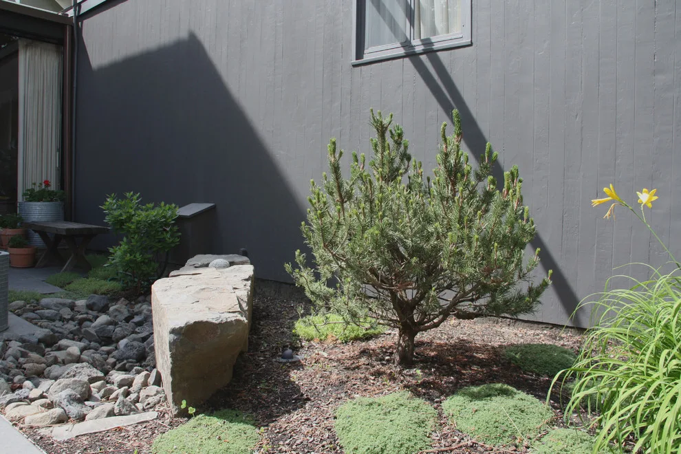 Modern Cliff Park by Pacific Garden Design - Photo 14