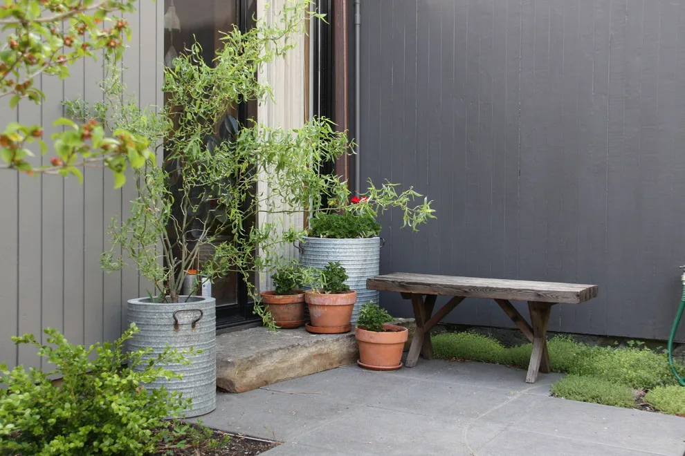 Modern Cliff Park by Pacific Garden Design - Photo 7