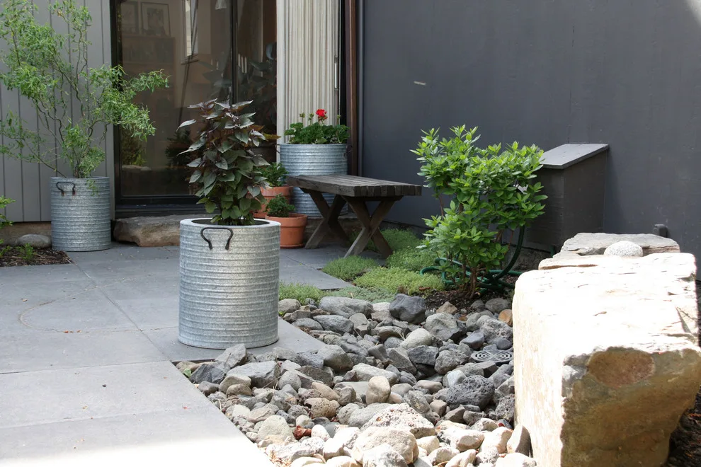 Modern Cliff Park by Pacific Garden Design - Photo 6
