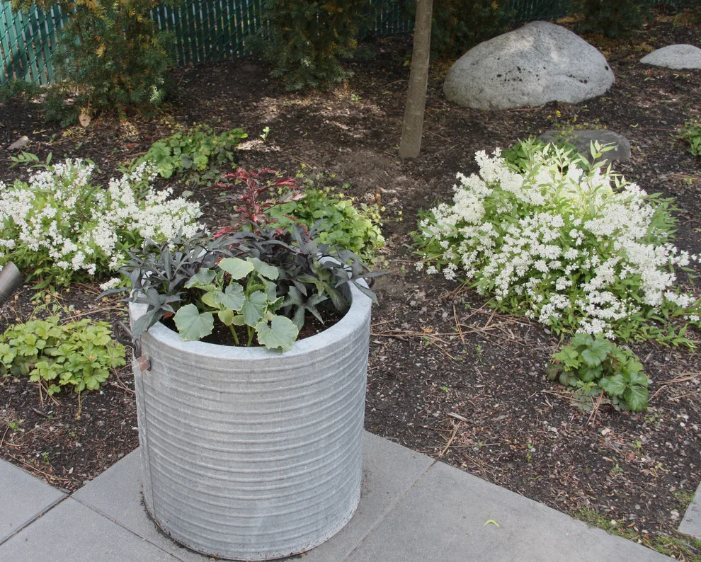 Modern Cliff Park by Pacific Garden Design - Photo 2