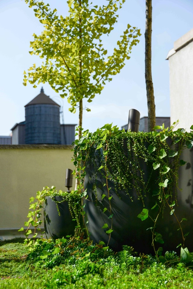Skyline Arboretum with Fountain by Christian Duvernois Landscape/Studio - Photo 6