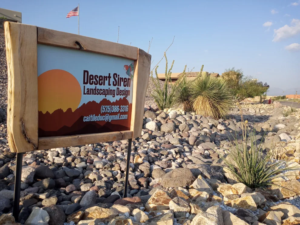 Full Setup by Desert Siren Landscape Design, LLC - Photo 5